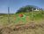 Terreno, 1000 m² - Foto 2