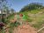 Terreno, 1000 m² - Foto 3