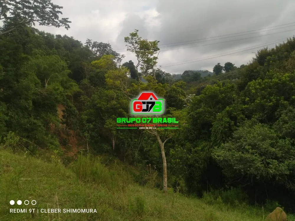 Terreno, 4 hectares - Foto 4