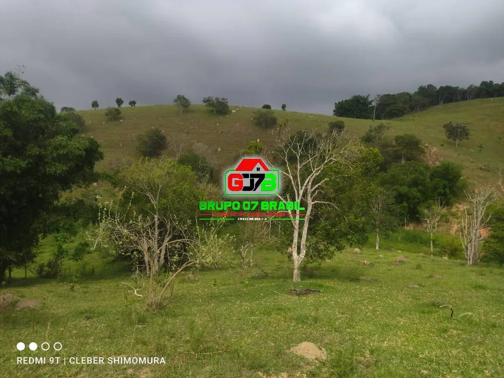 Terreno, 4 hectares - Foto 3