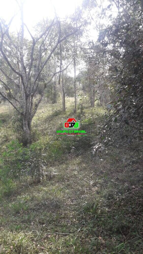 Sítio, 2 quartos, 12 hectares - Foto 4