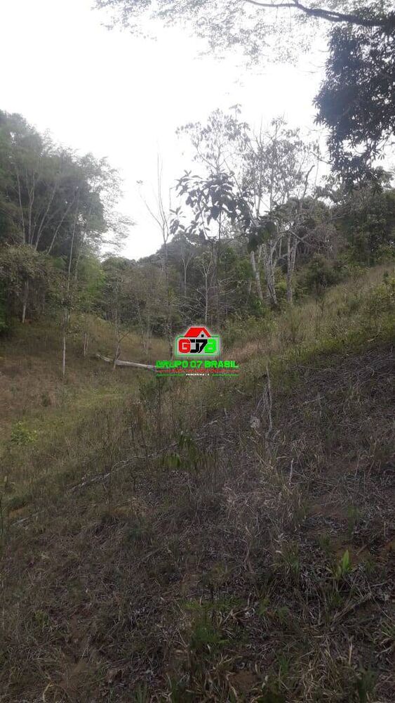 Sítio, 2 quartos, 12 hectares - Foto 3