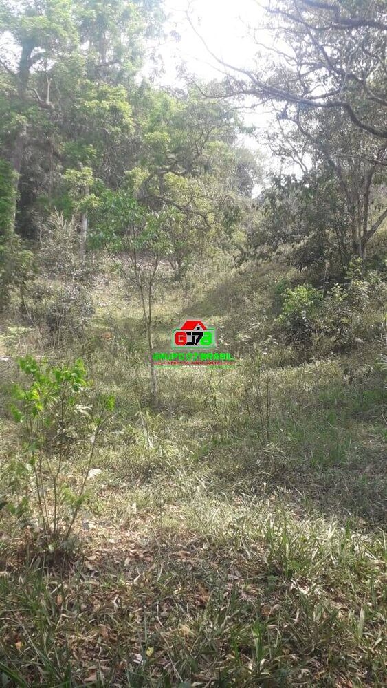 Sítio, 2 quartos, 12 hectares - Foto 2