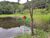 Terreno, 3 hectares - Foto 2