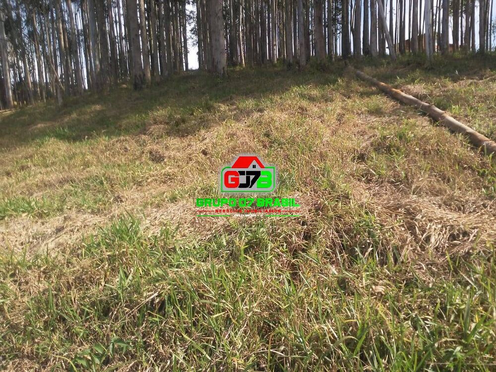 Terreno, 1000 m² - Foto 9