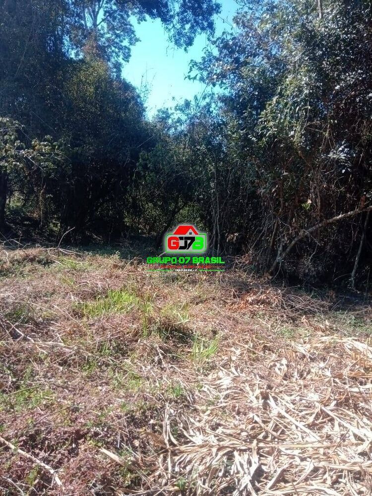 Terreno, 5000 m² - Foto 3