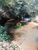 Terreno, 5000 m² - Foto 2