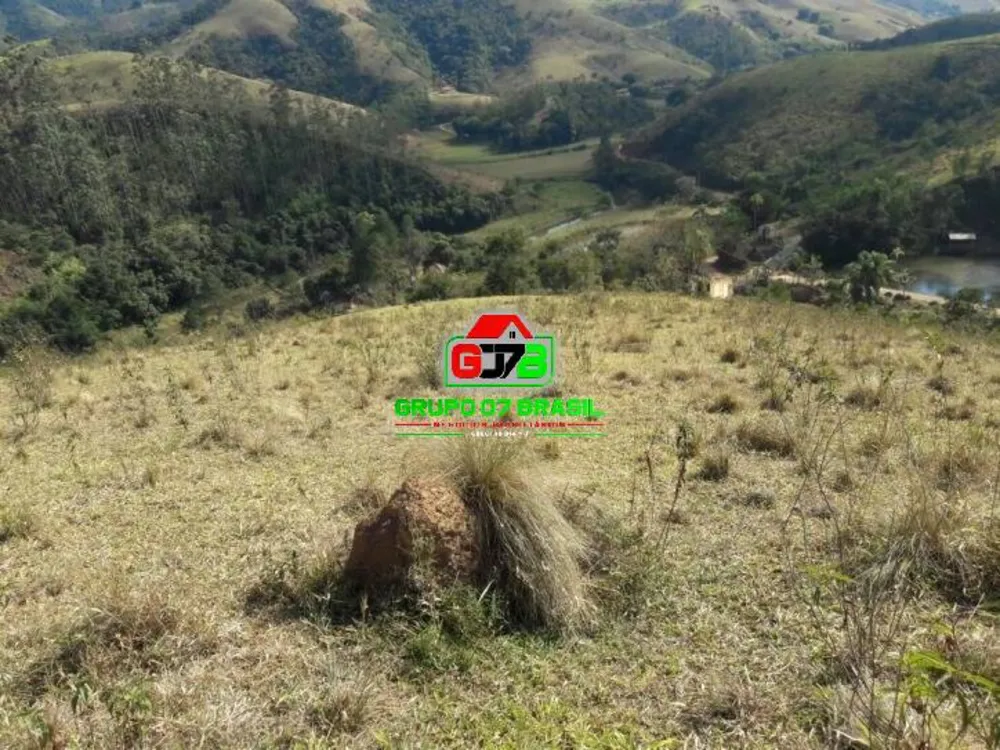 Terreno, 2 hectares - Foto 8