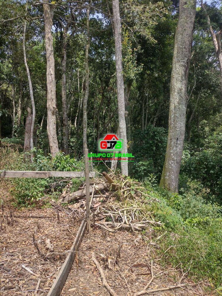 Sítio, 4 quartos, 1300 m² - Foto 4