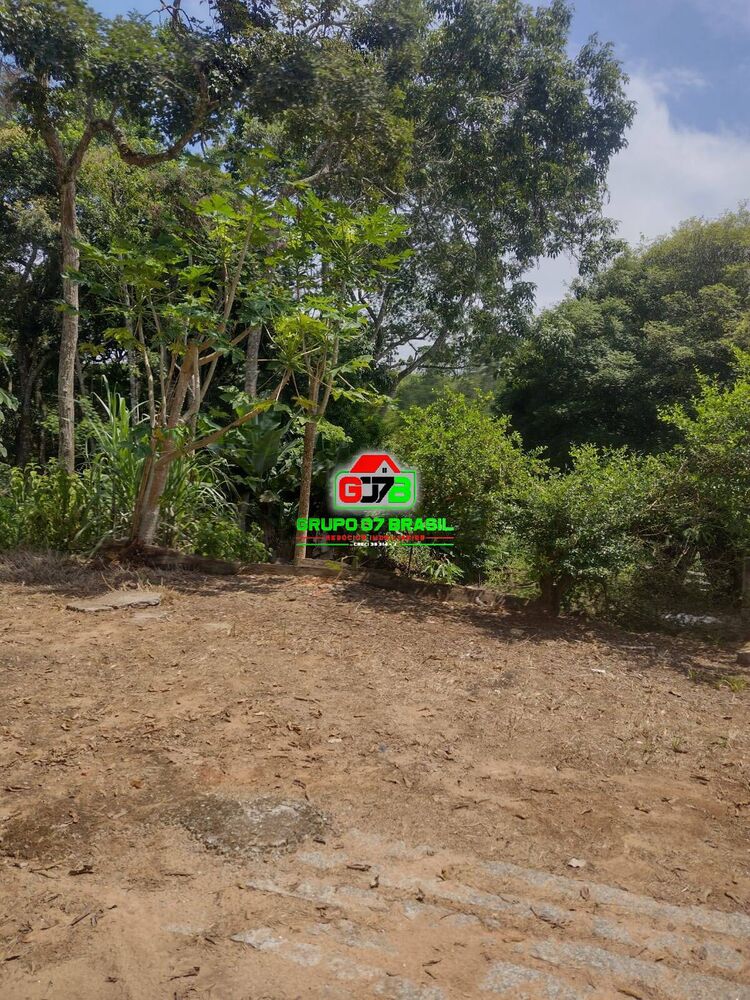 Sítio, 4 quartos, 1300 m² - Foto 2