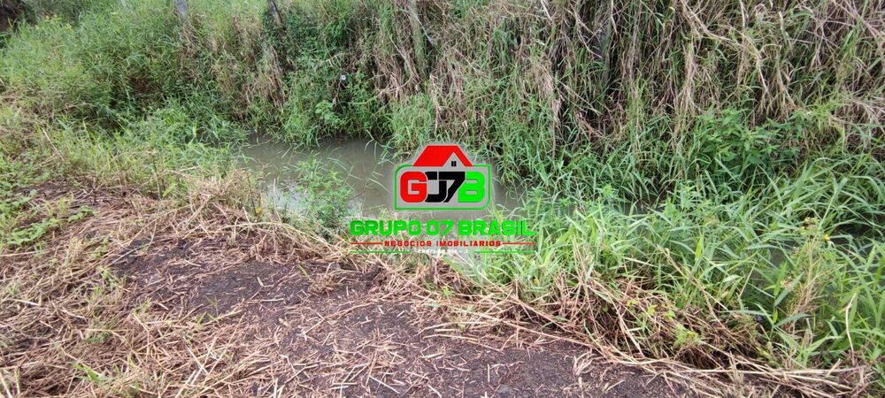 Terreno, 6 hectares - Foto 4