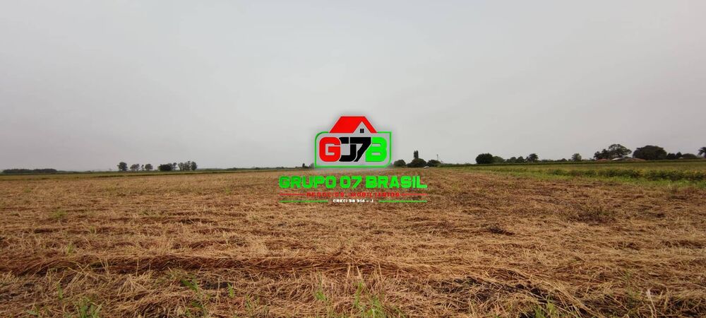 Terreno, 6 hectares - Foto 3