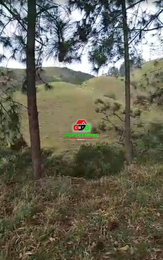 Terreno à venda, 2m² - Foto 4