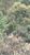 Terreno, 2 m² - Foto 2