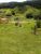 Sítio, 3 quartos, 7 hectares - Foto 1