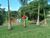 Terreno, 3 hectares - Foto 4