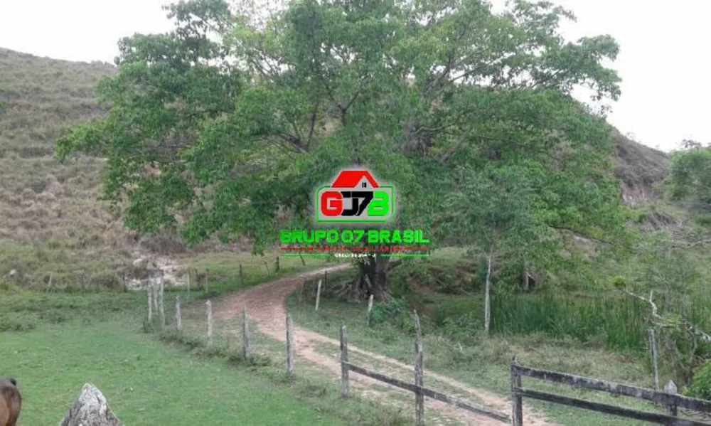 Terreno, 302 m² - Foto 5