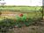 Terreno, 5 m² - Foto 3