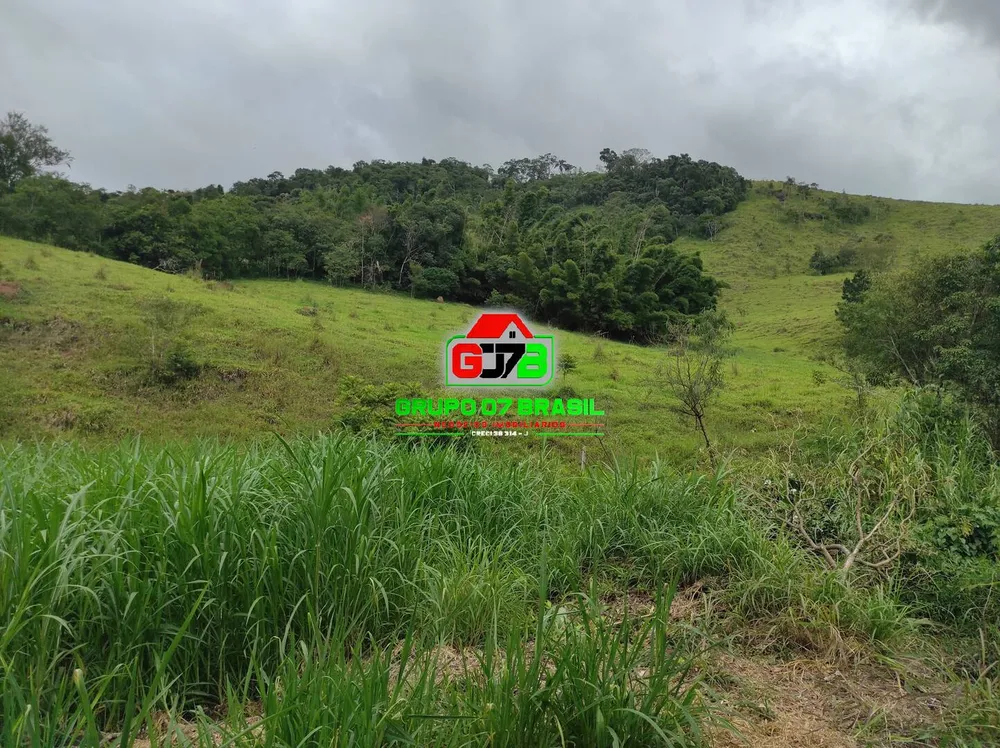 Terreno, 2 hectares - Foto 6