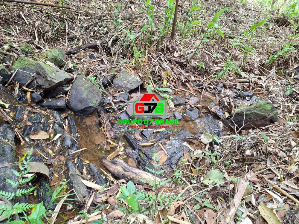 Terreno, 2 hectares - Foto 4