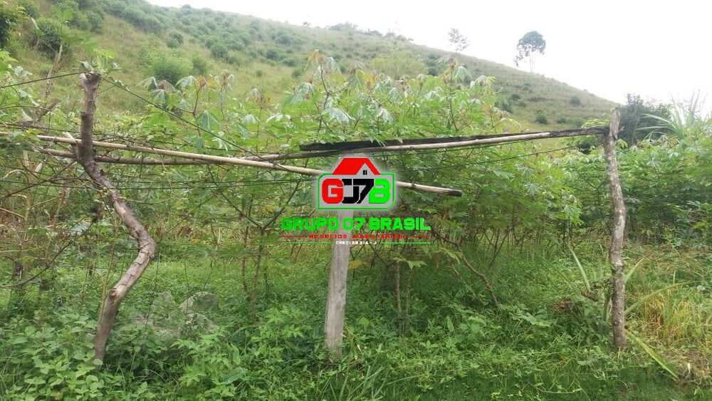 Sítio, 4 quartos, 150 m² - Foto 3