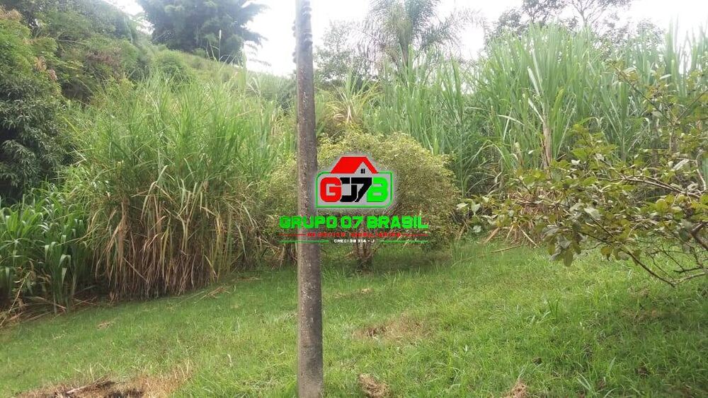 Sítio, 4 quartos, 150 m² - Foto 11