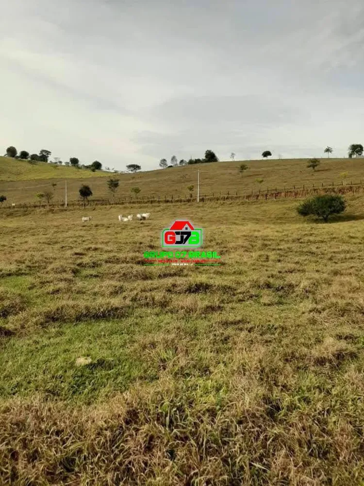 Terreno, 2 hectares - Foto 8