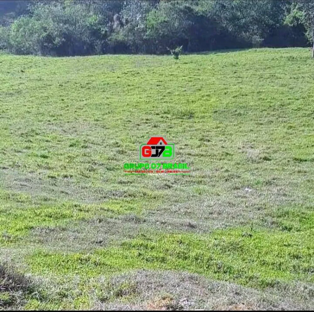 Terreno, 2 hectares - Foto 4