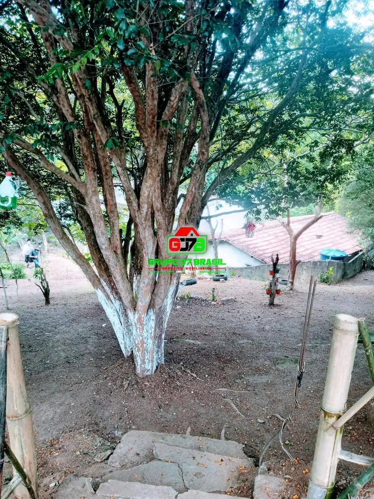 Casa, 4 quartos, 300 m² - Foto 3