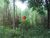 Terreno, 5000 m² - Foto 2
