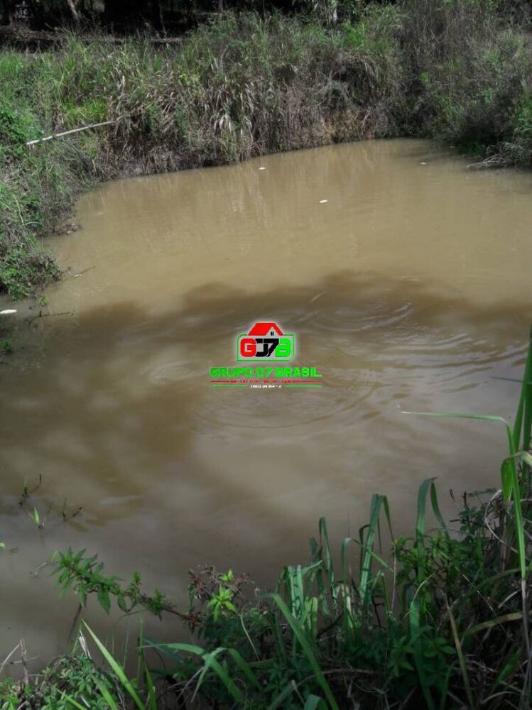 Terreno, 5000 m² - Foto 4