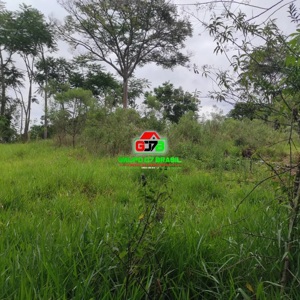 Terreno, 5000 m² - Foto 5