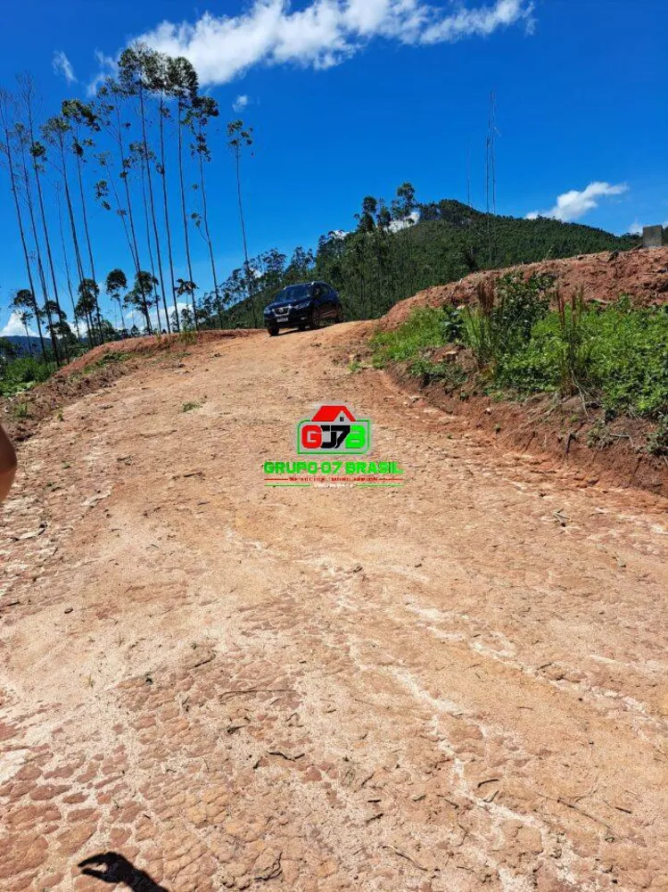 Terreno, 3 hectares - Foto 6
