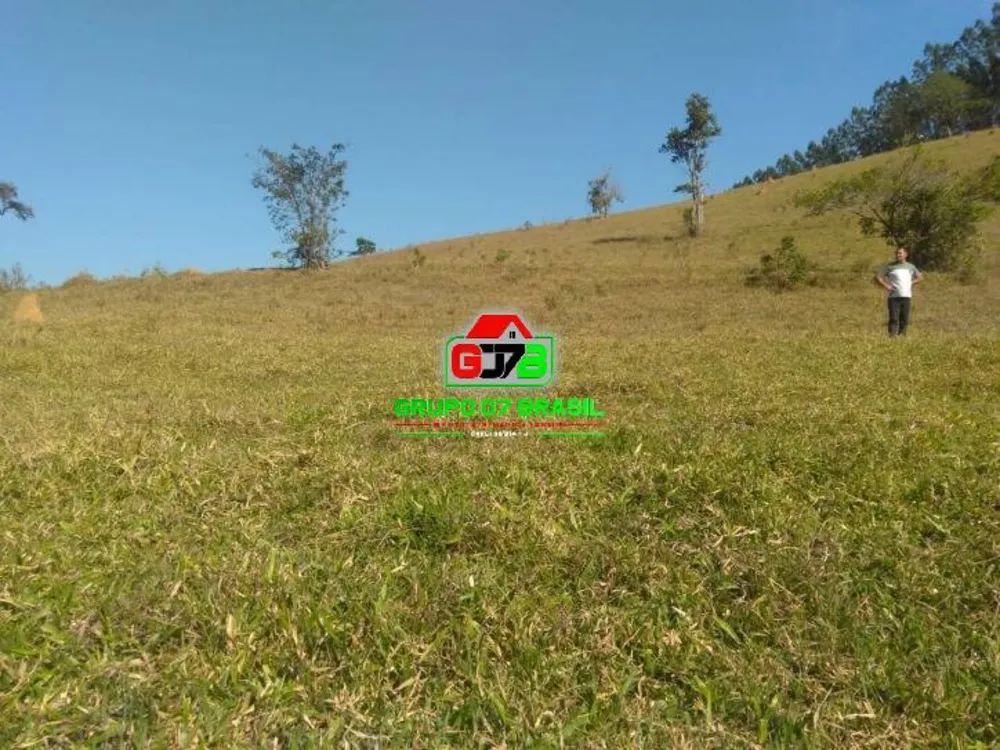 Terreno, 56 hectares - Foto 7