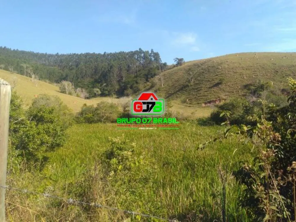 Terreno, 56 hectares - Foto 4