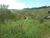 Terreno, 484 m² - Foto 16