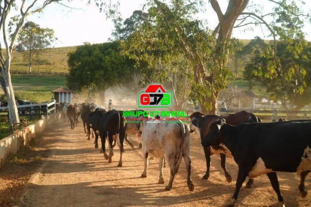 Fazenda, 224 hectares - Foto 1