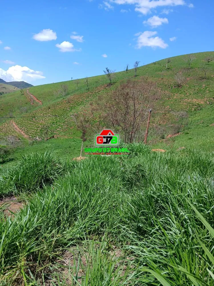Terreno, 2 hectares - Foto 1