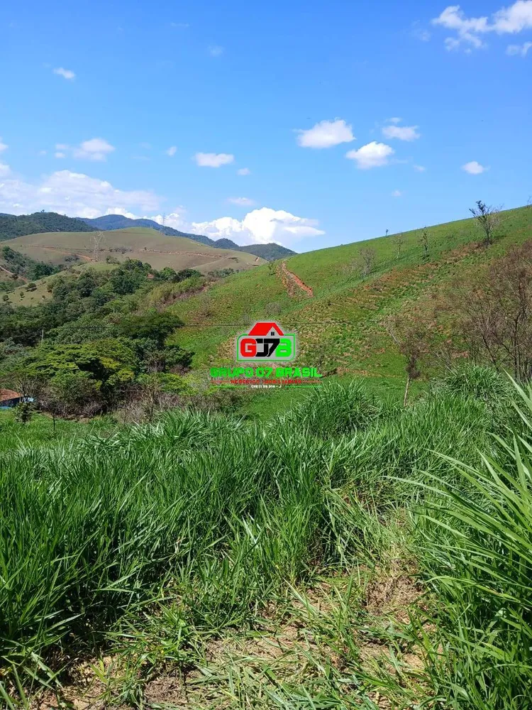 Terreno, 2 hectares - Foto 3