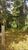 Terreno, 3 hectares - Foto 4