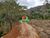 Sítio, 1 quarto, 2 hectares - Foto 4