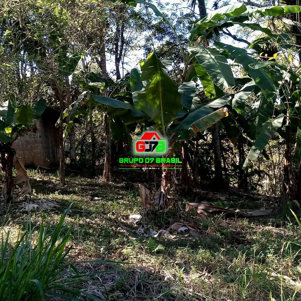 Sítio, 16 hectares - Foto 8