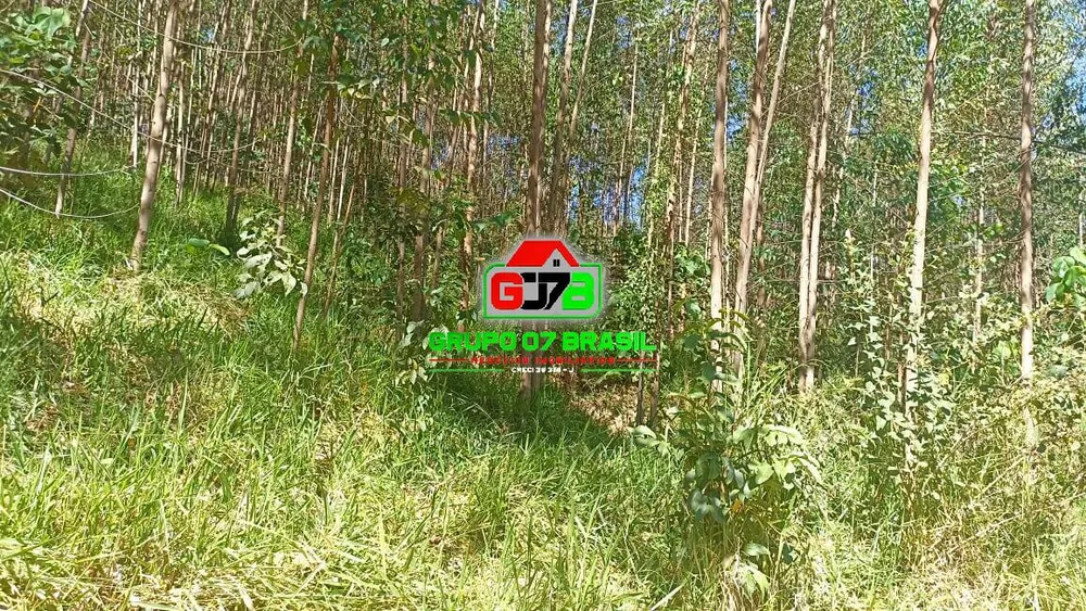 Terreno, 10 m² - Foto 3