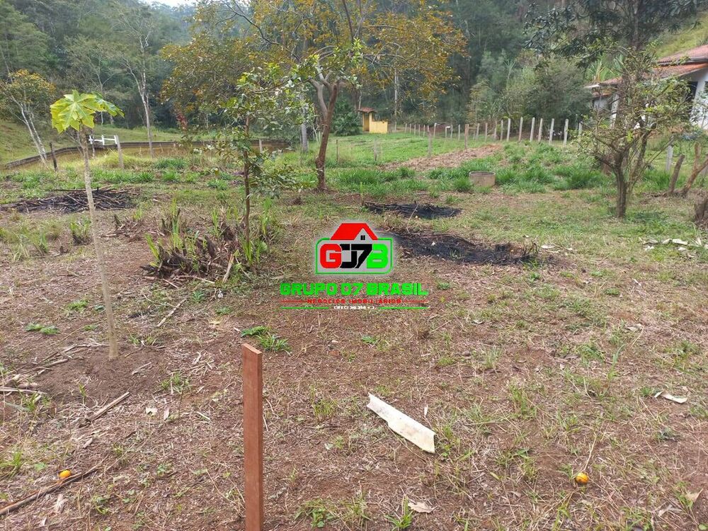 Fazenda, 7000 m² - Foto 4