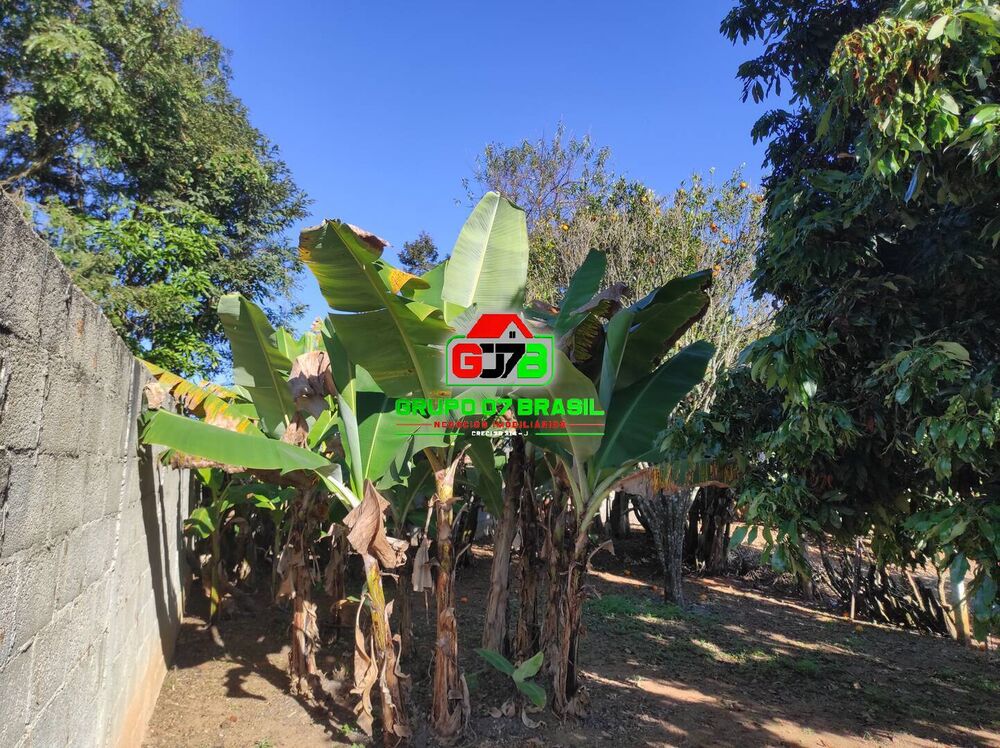 Chácara, 3 quartos, 2000 m² - Foto 4