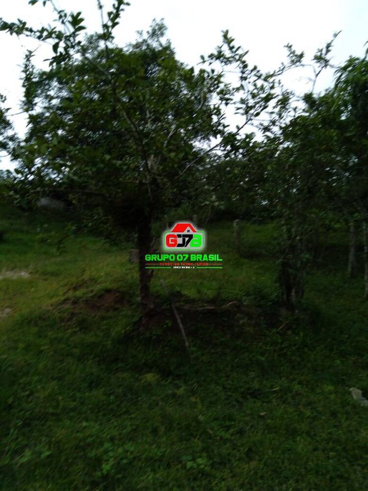 Terreno, 4 m² - Foto 4