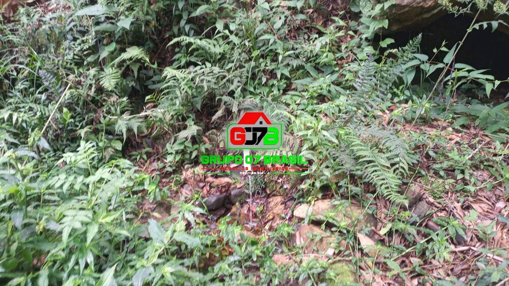 Terreno, 9000 m² - Foto 3