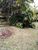 Terreno, 2 hectares - Foto 3