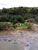 Terreno, 2 hectares - Foto 4