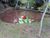 Terreno, 2 hectares - Foto 1